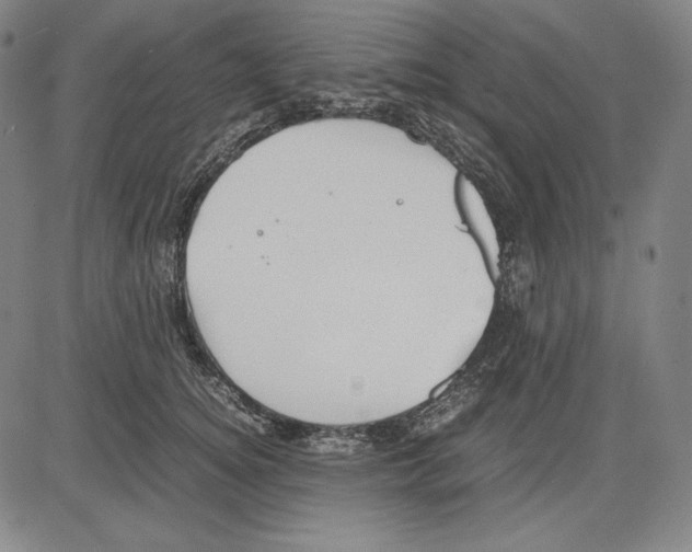 X0000081610756200702121614