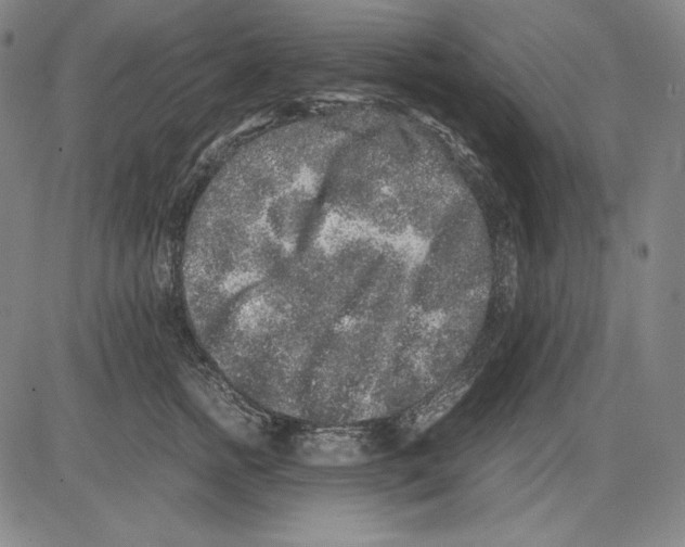 X0000081610758200702121614