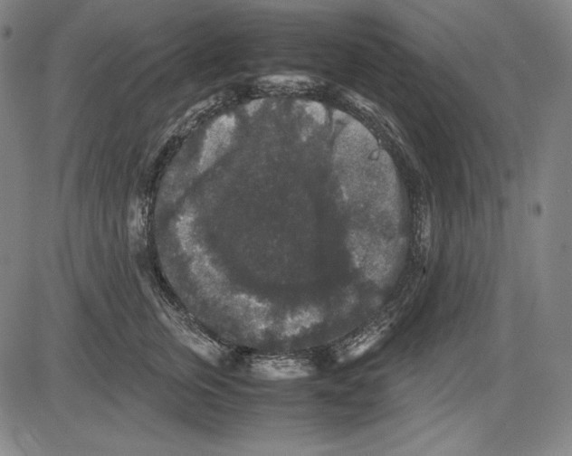 X0000081610759200702121614