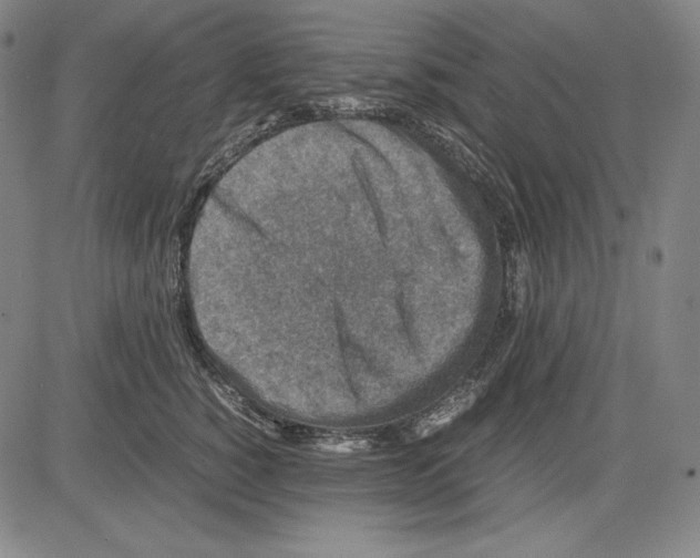 X0000081610760200702121614