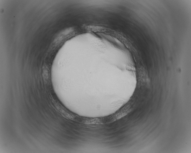 X0000081610761200702121614