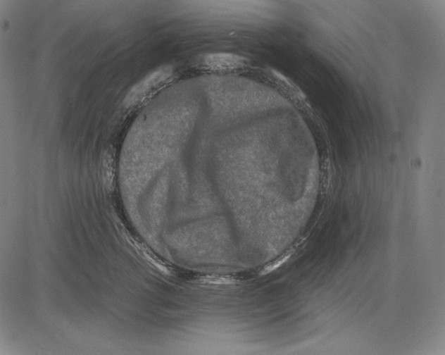 X0000081610762200702121614