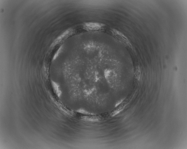 X0000081610763200702121614