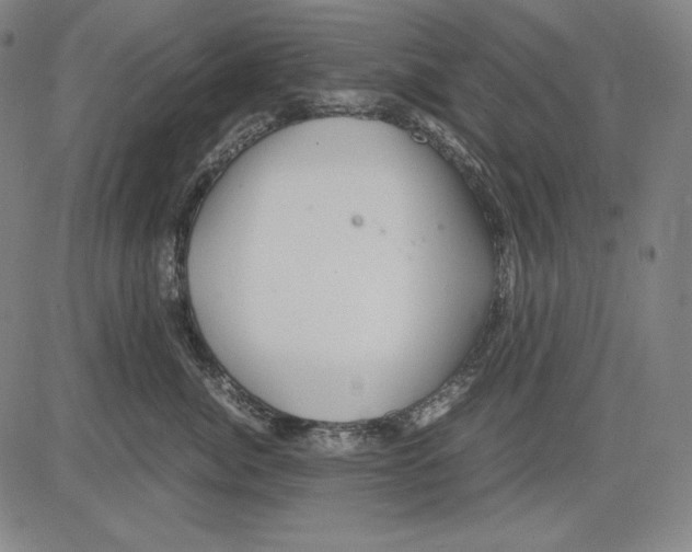 X0000081610764200702121614