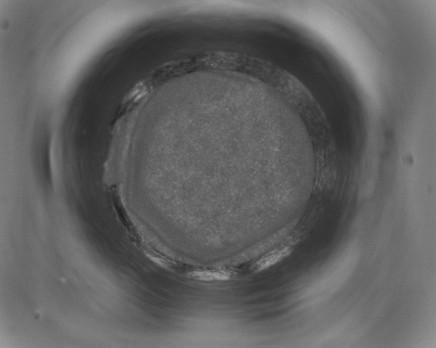 X0000081610765200702121614