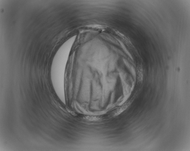 X0000081610766200702121614