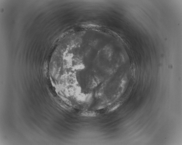 X0000081610767200702121614