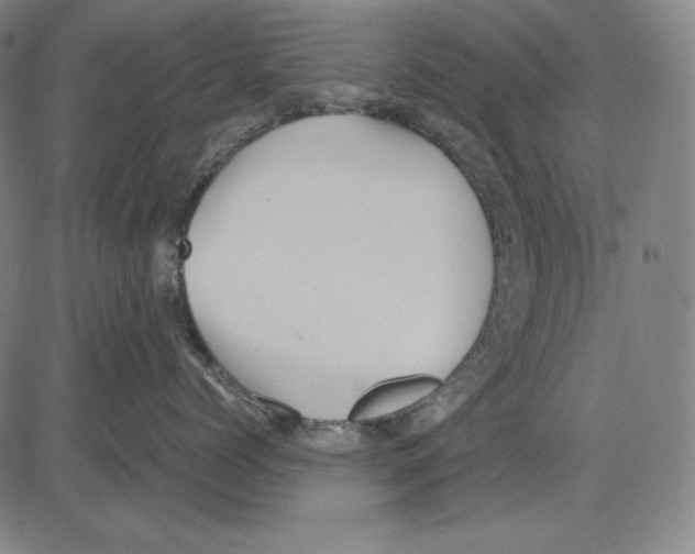 X0000081610768200702121614