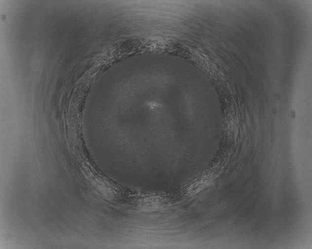 X0000081610769200702121614