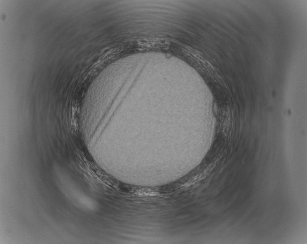 X0000081610770200702121614