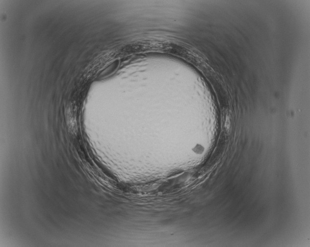 X0000081610771200702121614