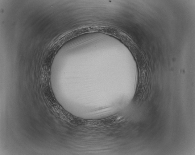 X0000081610773200702121614