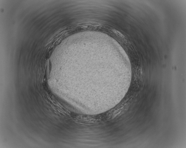 X0000081610774200702121614