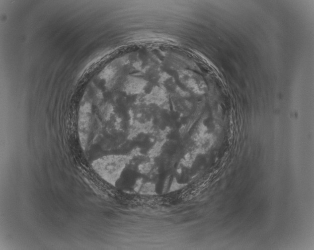 X0000081610775200702121614