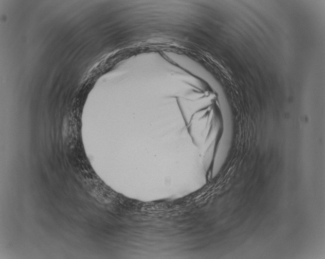 X0000081610776200702121614