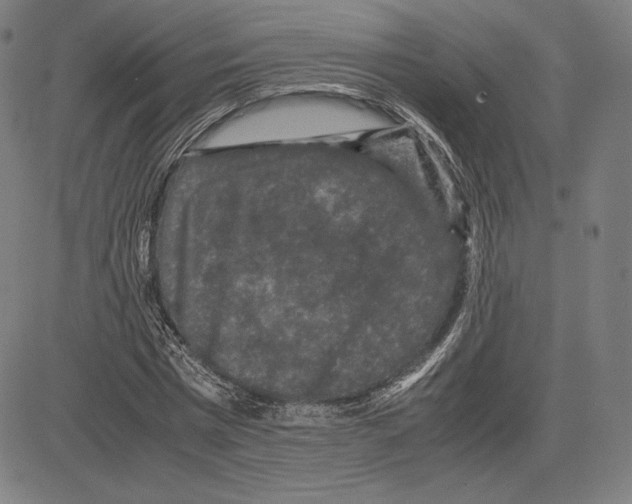 X0000081610777200702121614