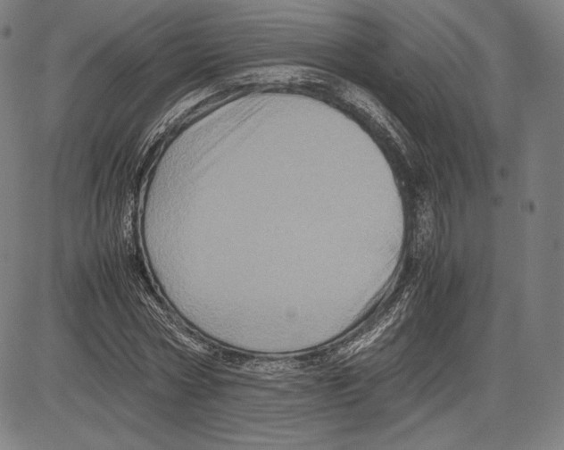 X0000081610778200702121614