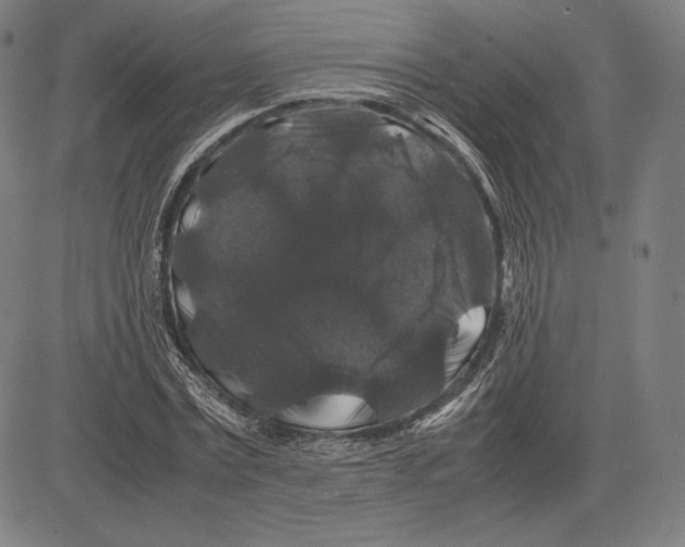 X0000081610779200702121614