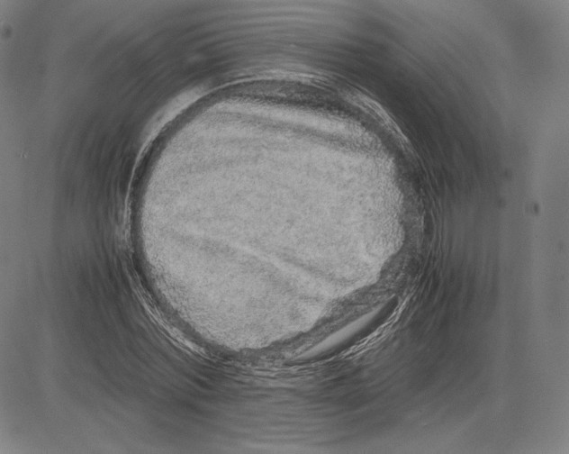 X0000081610780200702121614