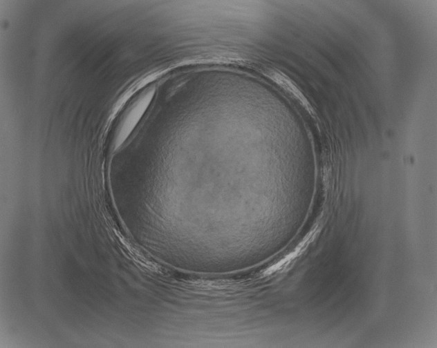 X0000081610781200702121614