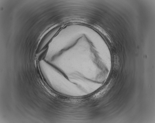 X0000081610782200702121613