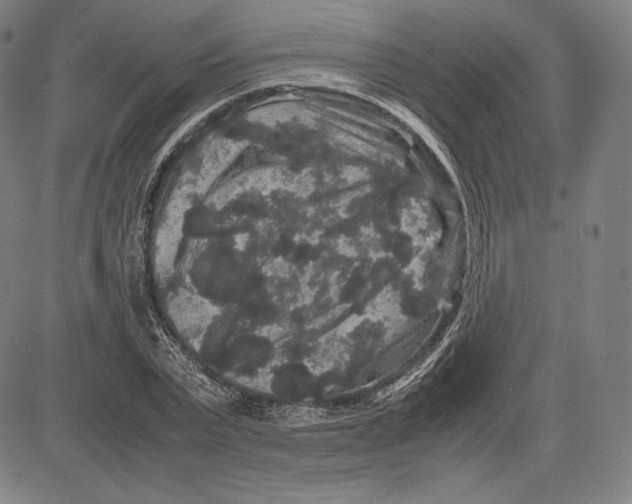 X0000081610783200702121613