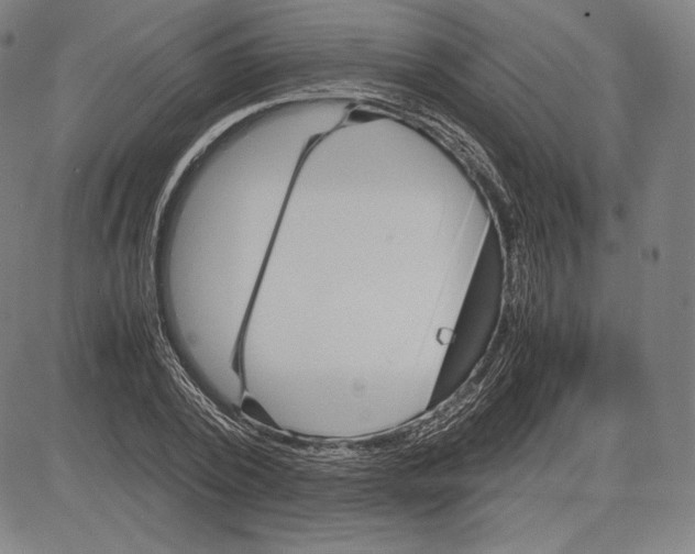 X0000081610784200702121613