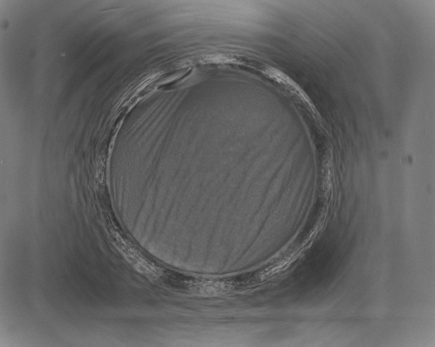 X0000081610785200702121613