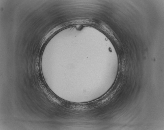 X0000081610786200702121613