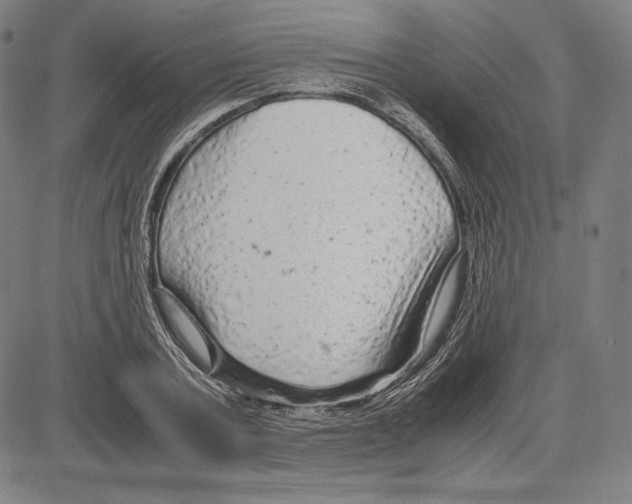 X0000081610787200702121613