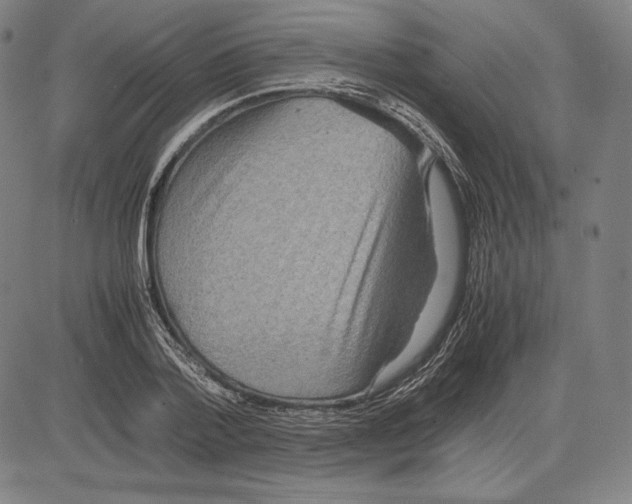 X0000081610788200702121613