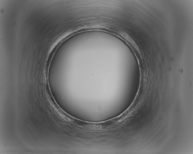 X0000081610789200702121613