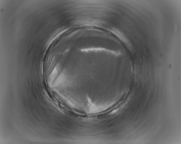 X0000081610790200702121613