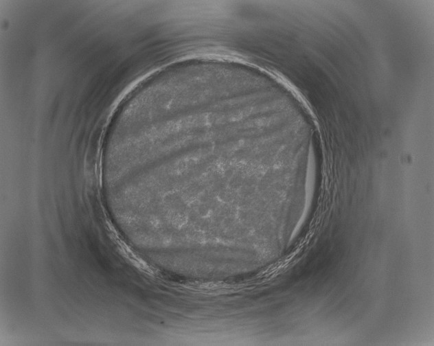 X0000081610791200702121613