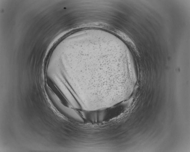 X0000081610792200702121613