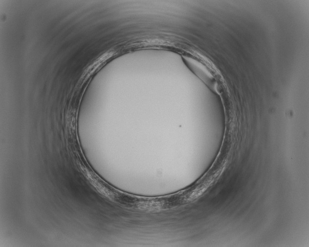 X0000081610793200702121613