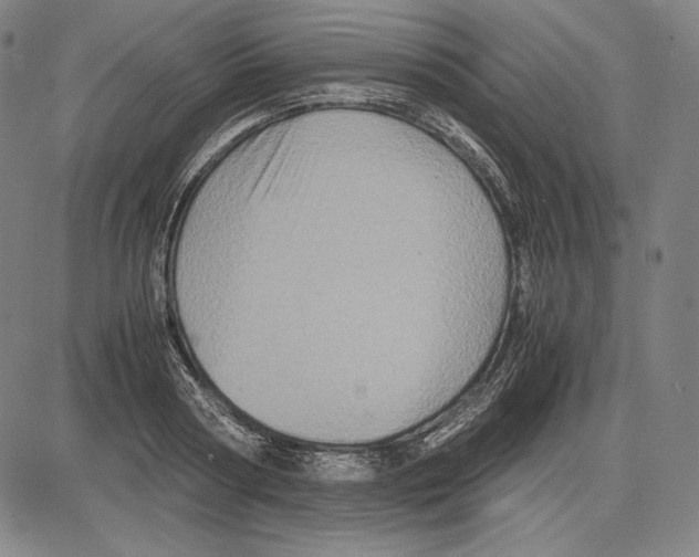 X0000081610794200702121613