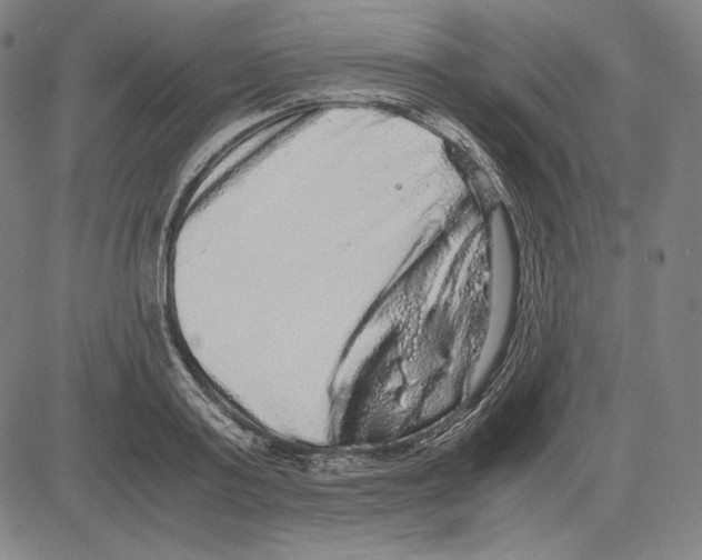 X0000081610795200702121613