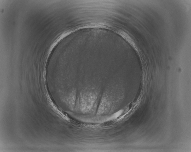 X0000081610797200702121613