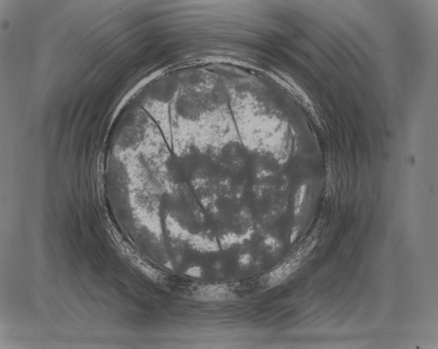 X0000081610798200702121613