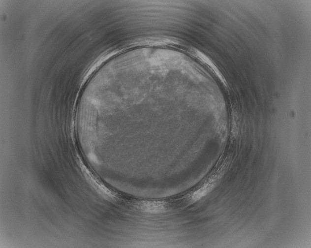 X0000081610802200702121613