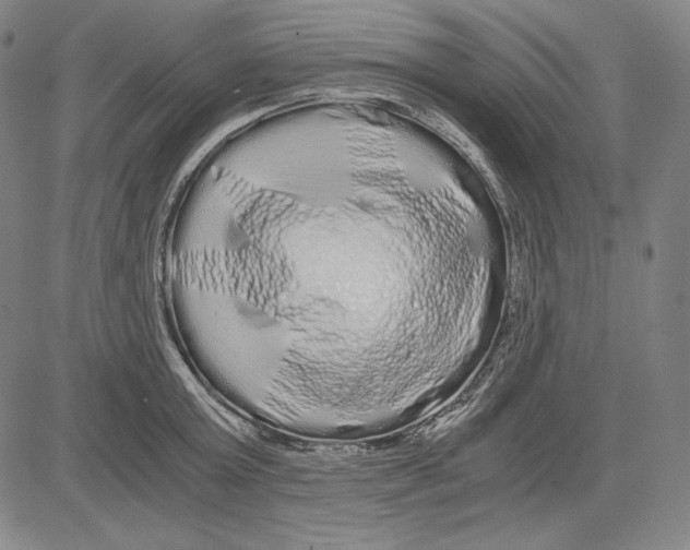 X0000081610803200702121613