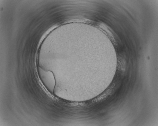 X0000081610804200702121613