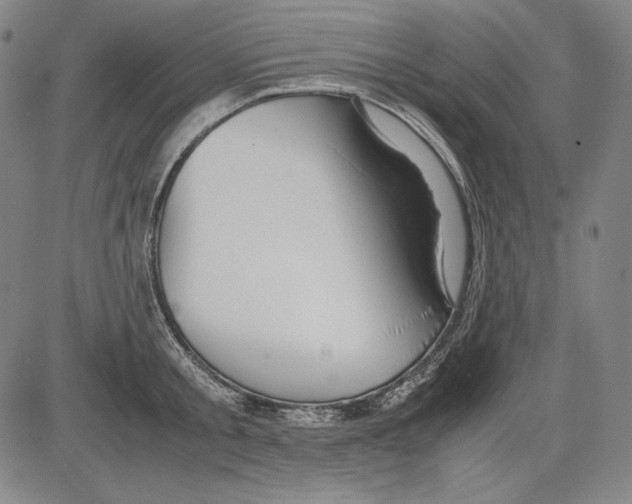 X0000081610805200702121613