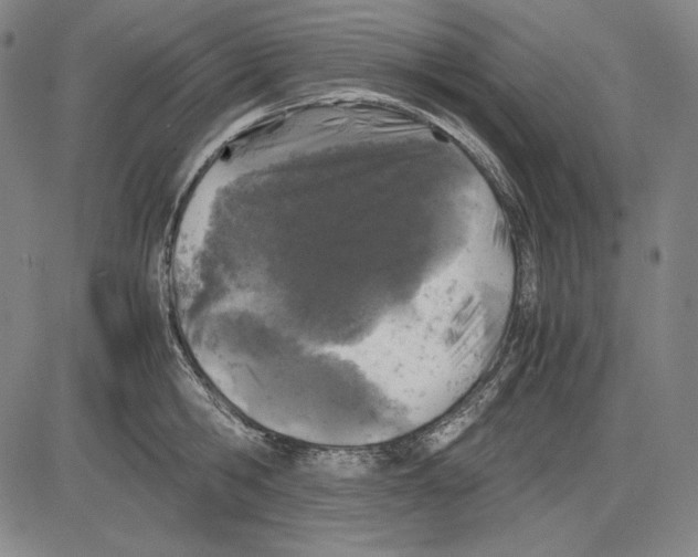 X0000081610806200702121613