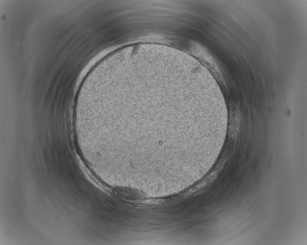 X0000081610808200702121613