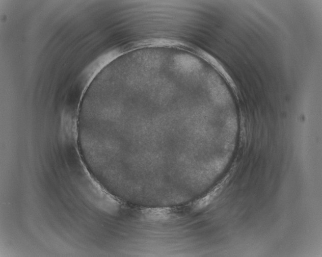 X0000081610810200702121613