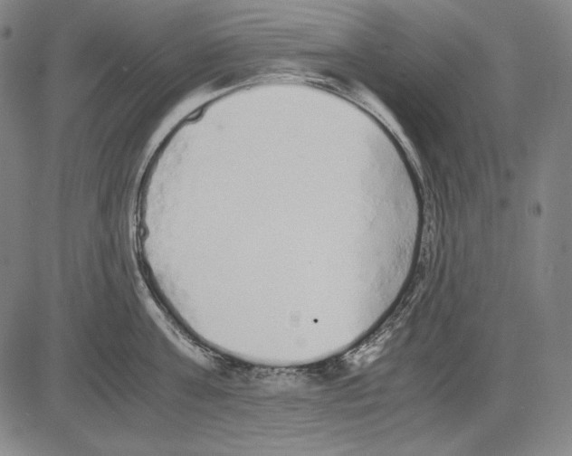 X0000081610811200702121613