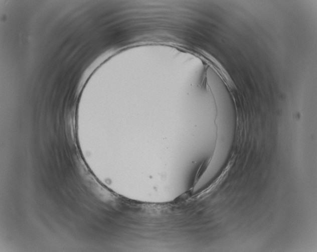 X0000081610812200702121613