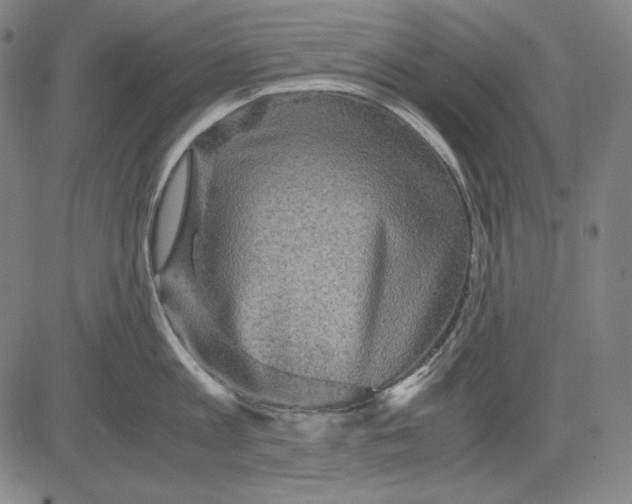 X0000081610813200702121613